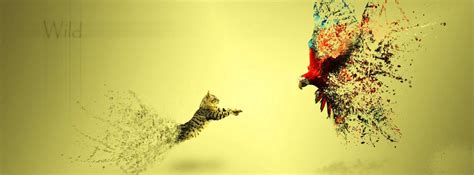 cover pic hd|free cover pictures to download.